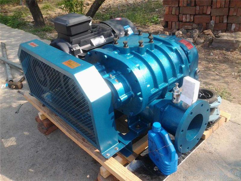 羅茨麻豆视频免费观看入口在水處理行業有什麽重要作用