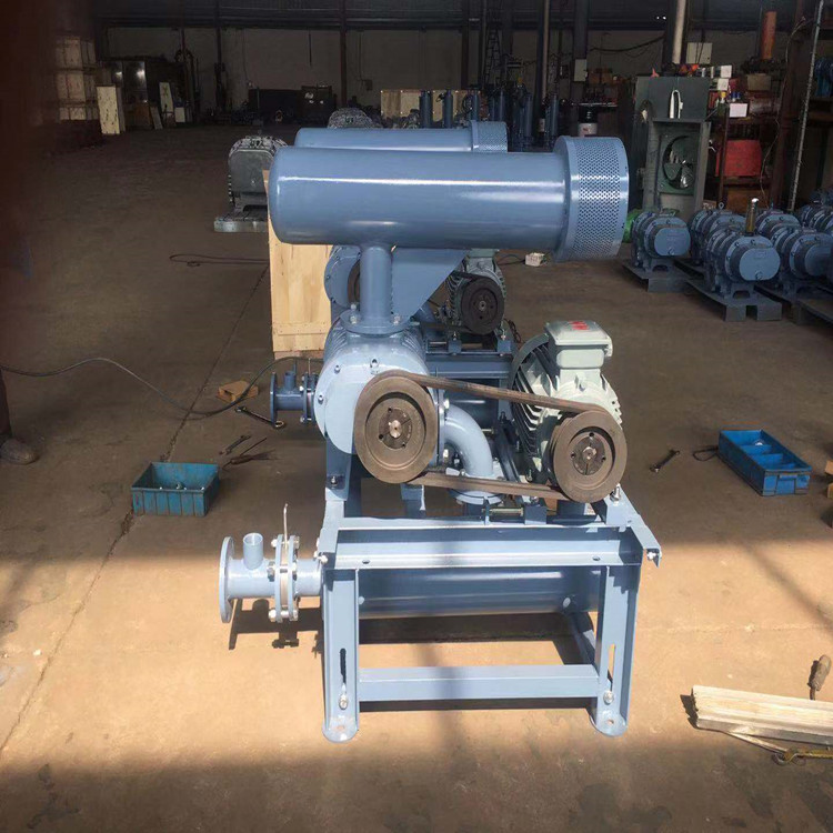 哪些因素影響羅茨鼓麻豆视频免费观看入口工作效率？