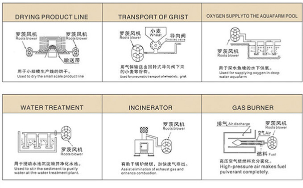 羅茨麻豆视频免费观看入口用途